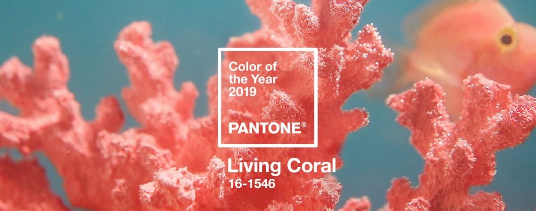 Az év színe 2019 – “living coral”