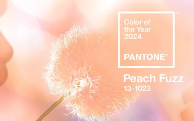 Az év színe 2024 Pantone – Peach Fuzz